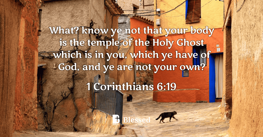 1 Corinthians 6:19