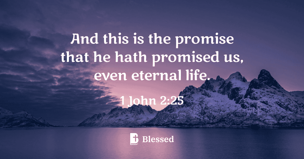 1 John 2:25