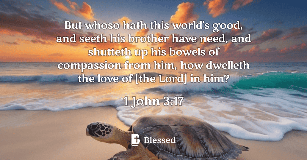 1 John 3:17