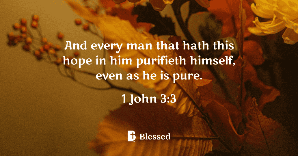 1 John 3:3