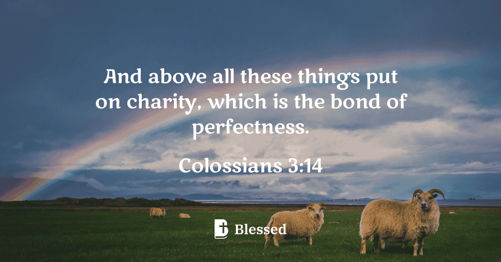 Colossians 3:14
