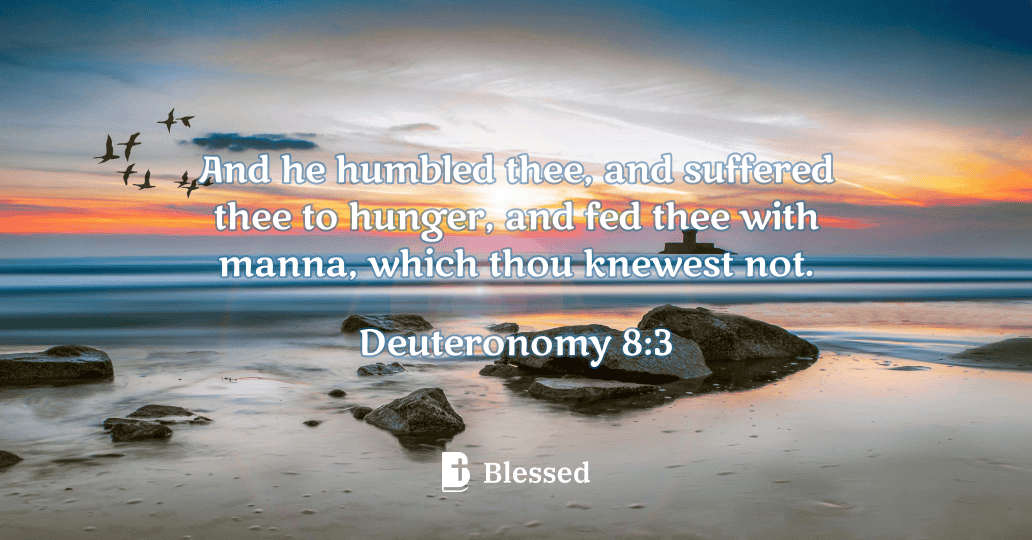 Deuteronomy 8:3
