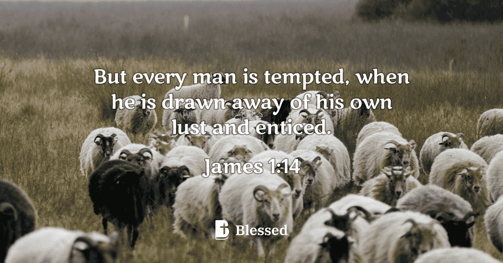 James 1:14
