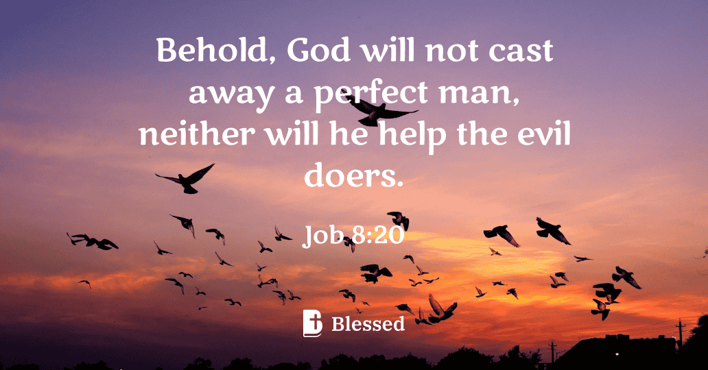 Job 8:20