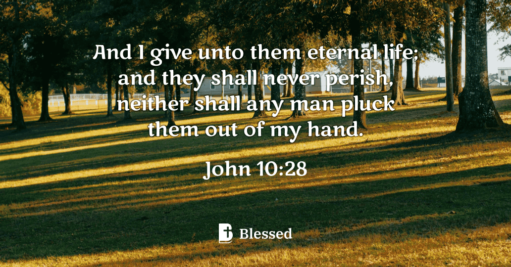 John 10:28