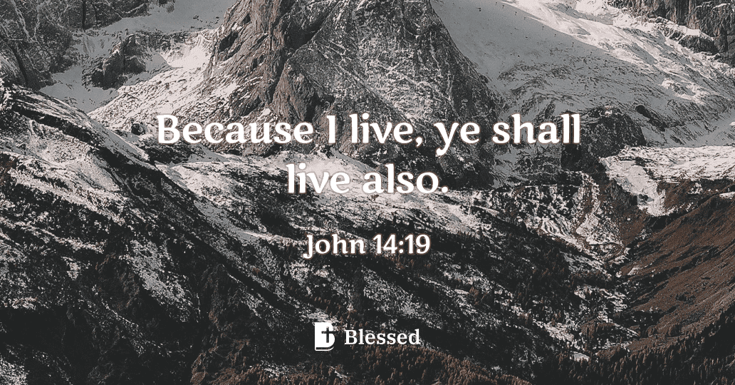 John 14:19