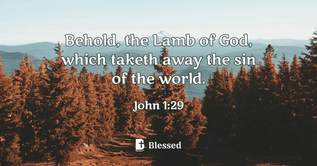 John 1:29
