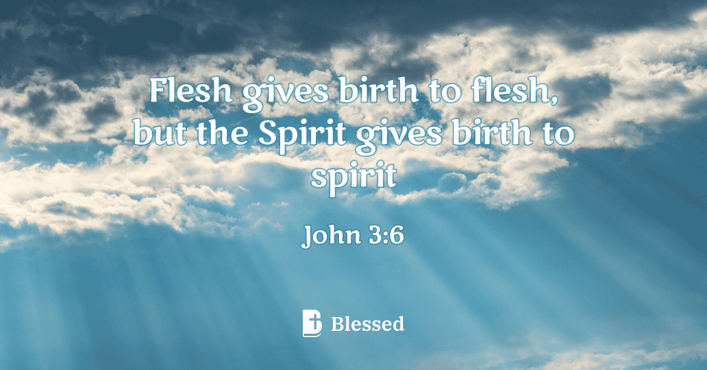 John 3:6