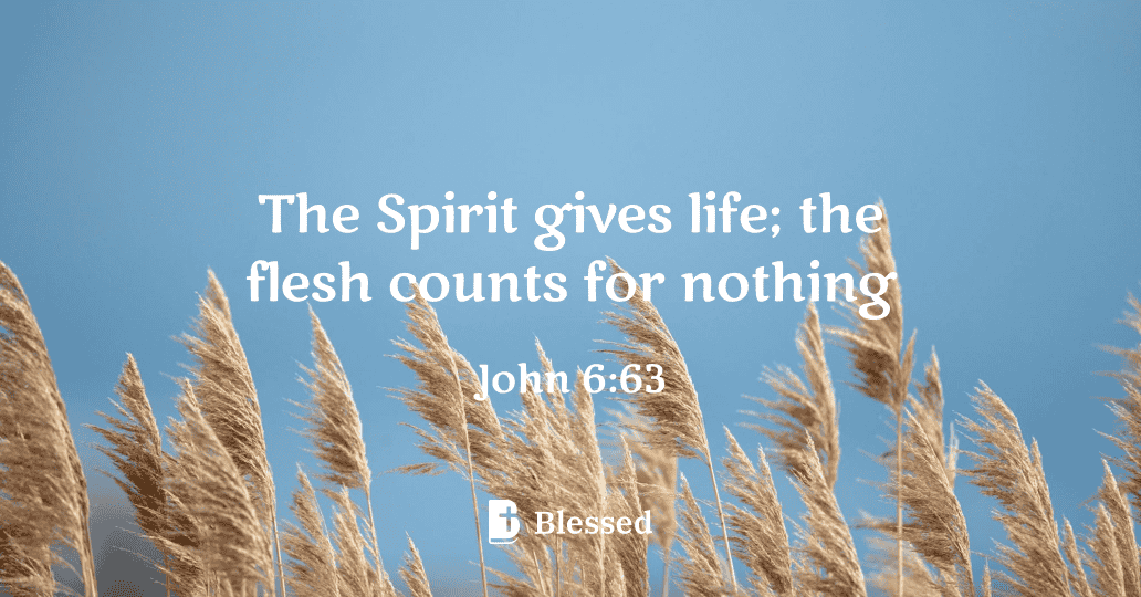 John 6:63