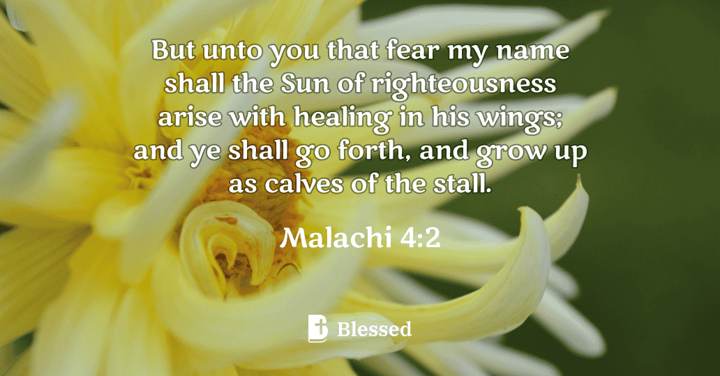 Malachi 4:2