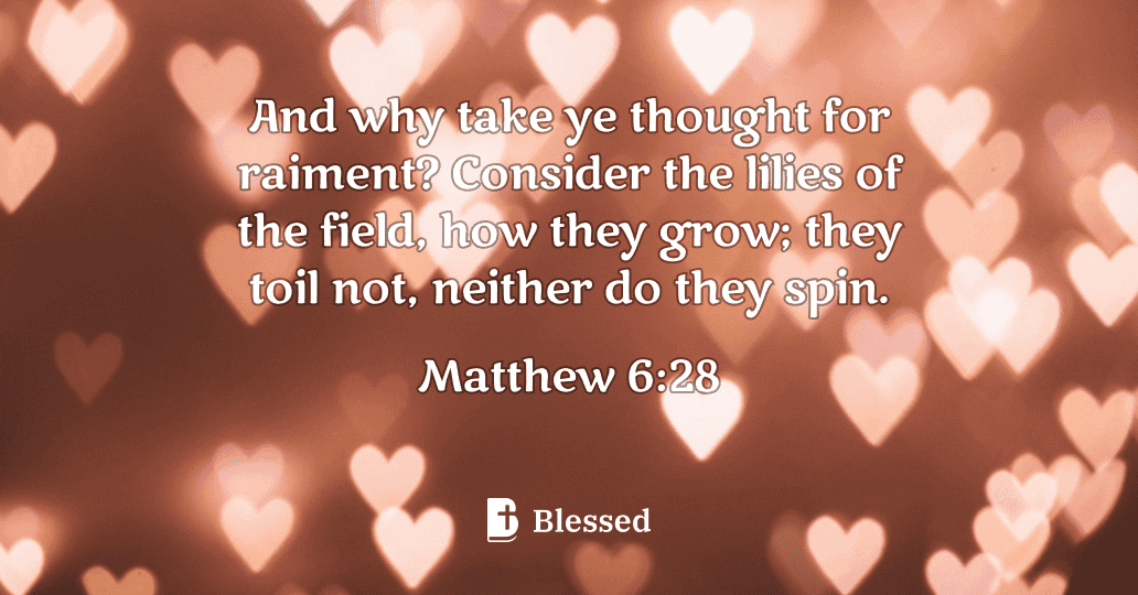Matthew 6:28