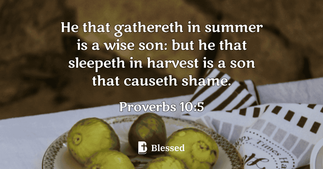 Proverbs 10:5