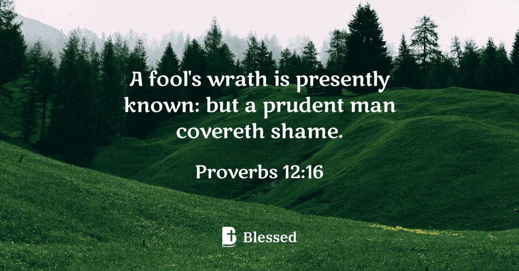 Proverbs 12:16