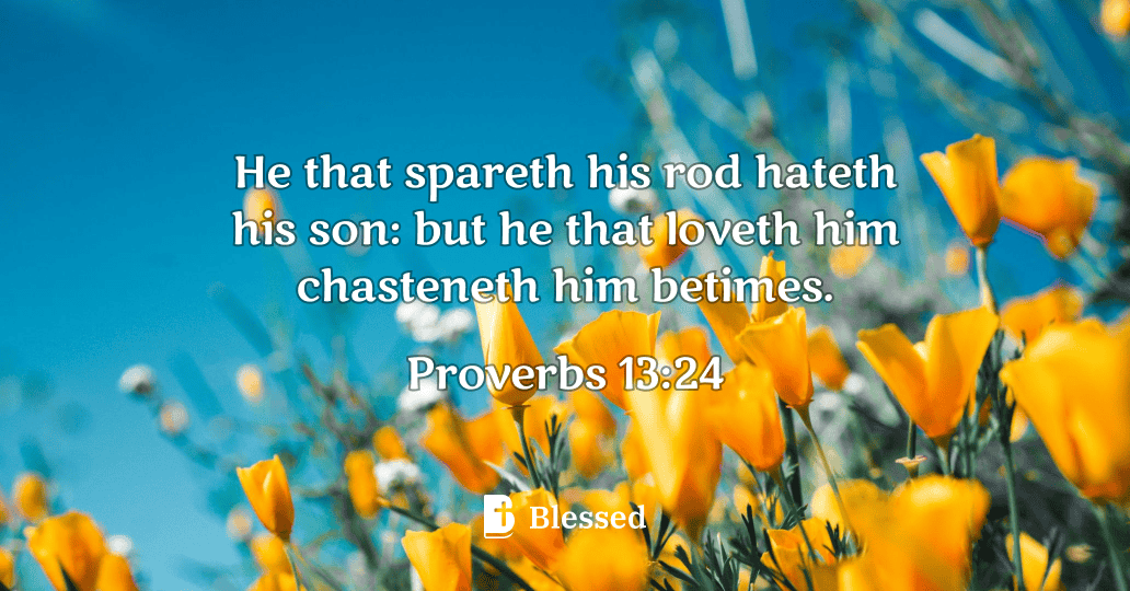 Proverbs 13:24