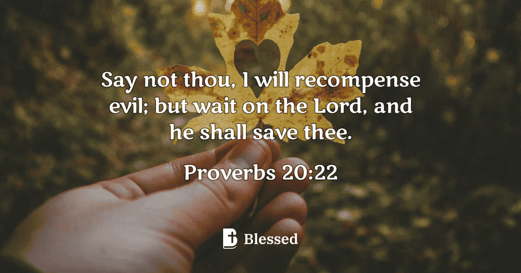 Proverbs 20:22