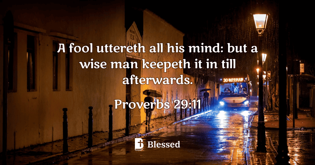 Proverbs 29:11