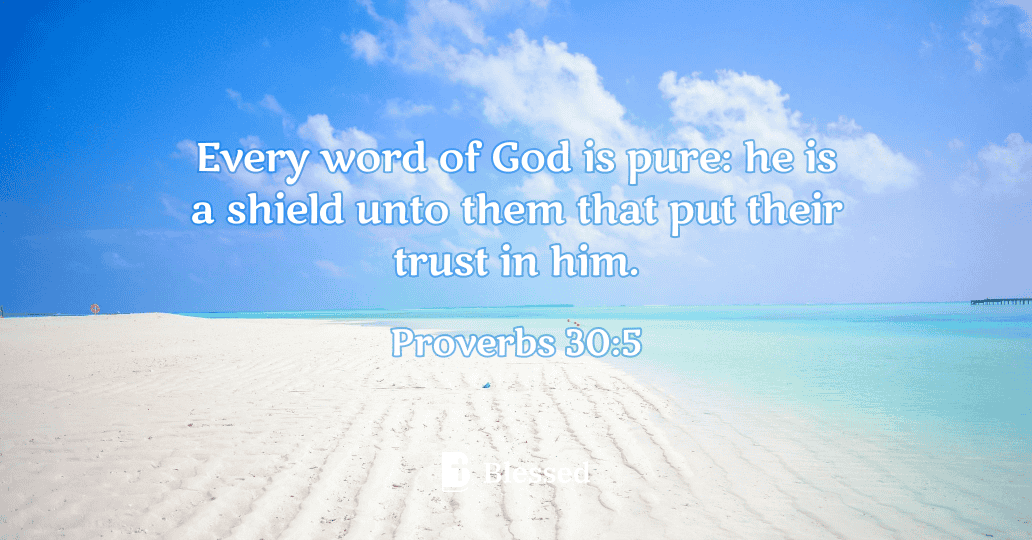 Proverbs 30:5