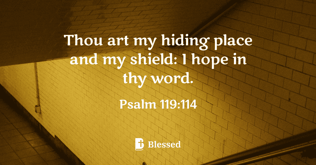 Psalm 119:114