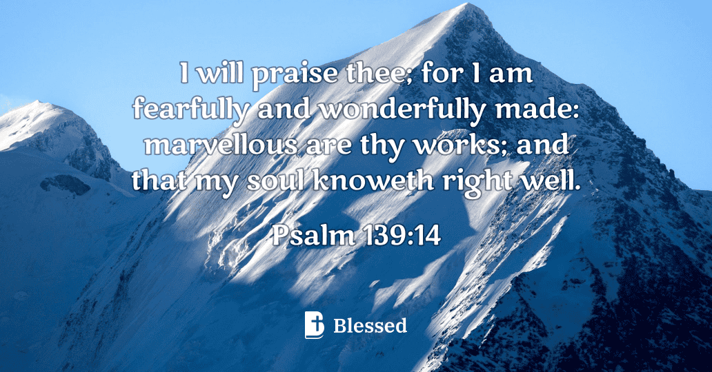 Psalm 139:14