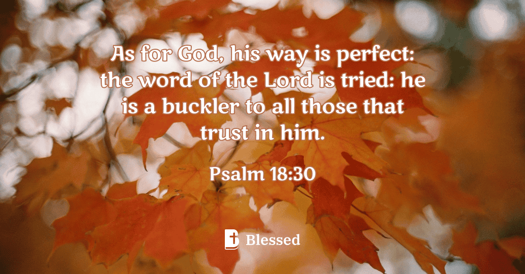 Psalm 18:30