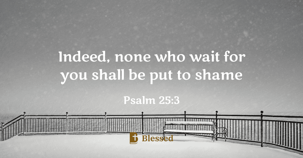 Psalm 25:3