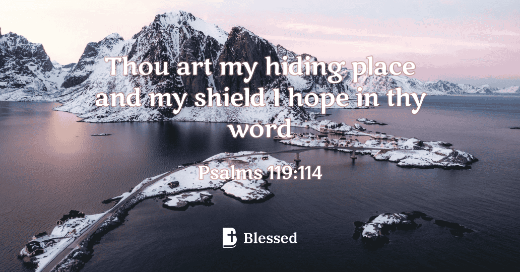 Psalms 119:114