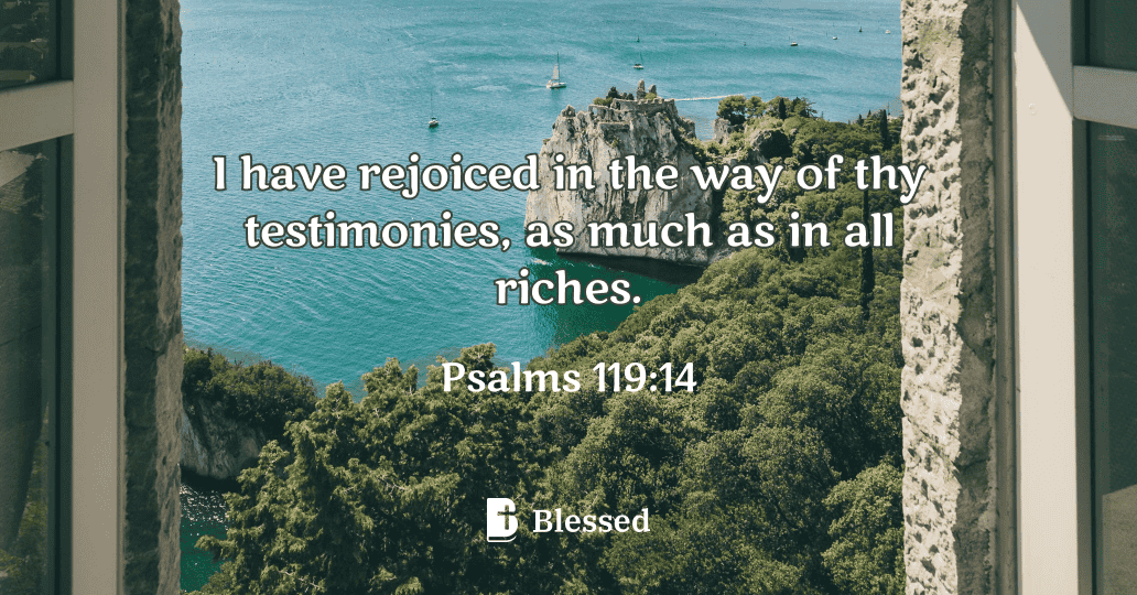 Psalms 119:14