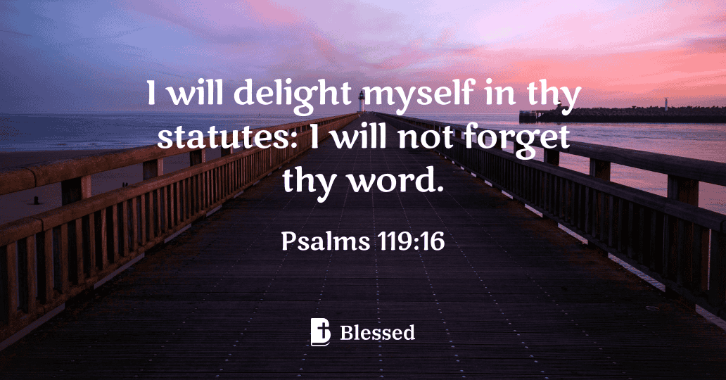 Psalms 119:16