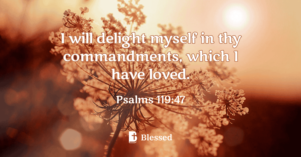 Psalms 119:47