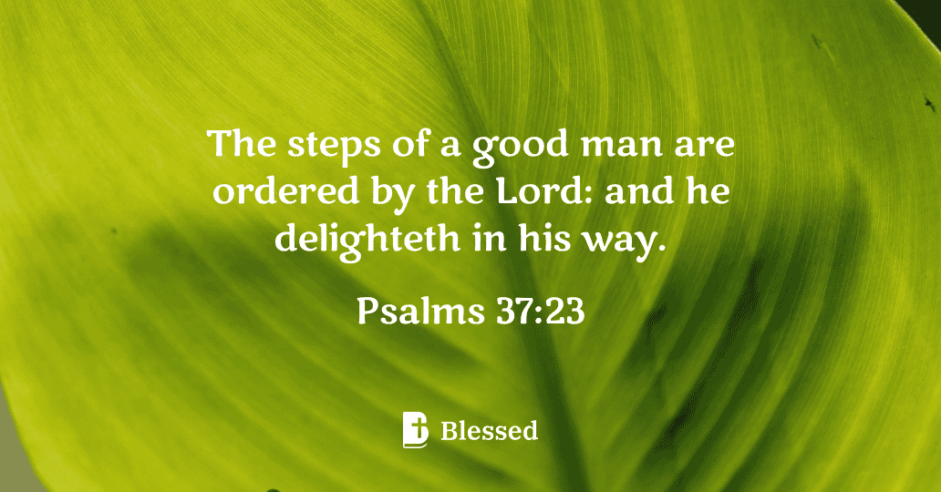 Psalms 37:23