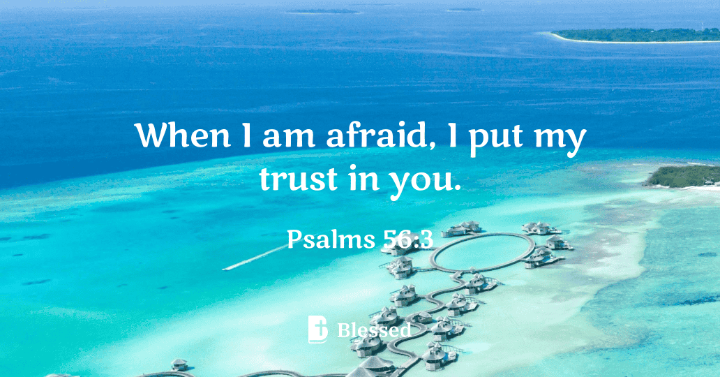 Psalms 56:3
