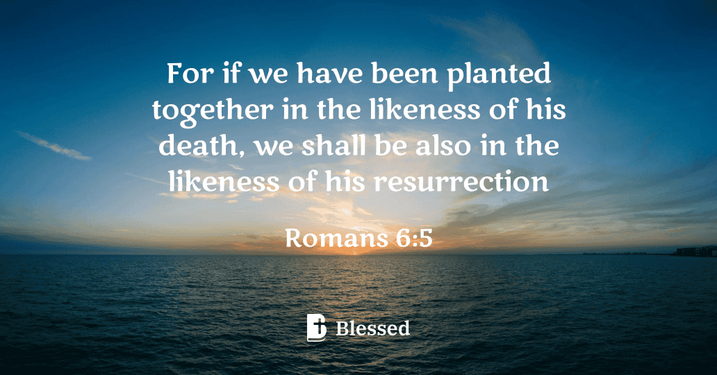 Romans 6:5