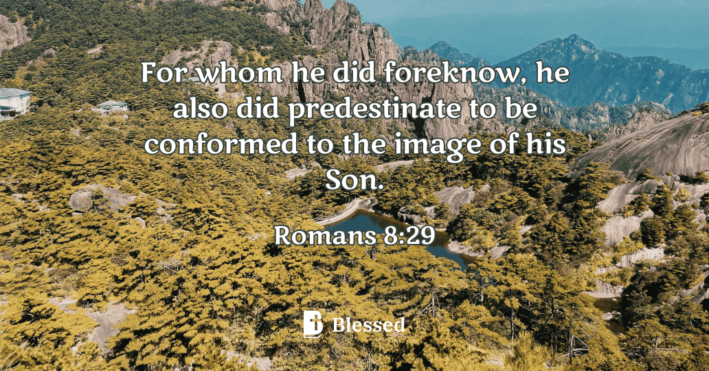 Romans 8:29