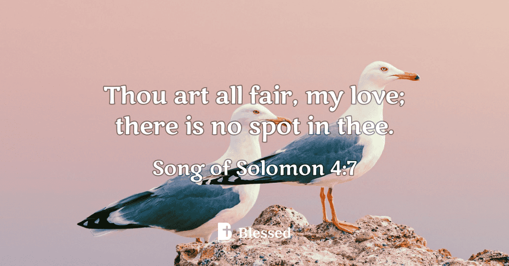 Song of Solomon 4:7