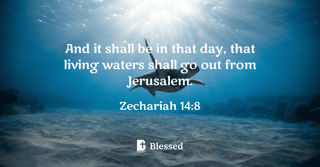 Zechariah 14:8