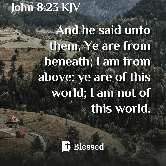 John 8:23