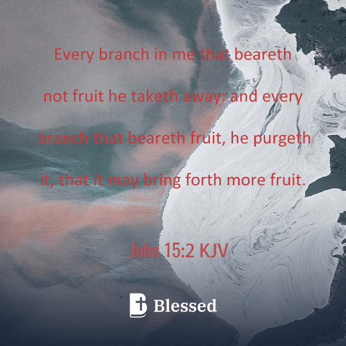 John 15:2