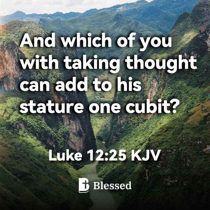 Luke 12:25