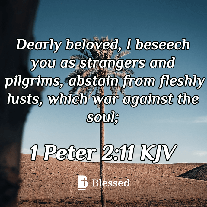 1 Peter 2:11