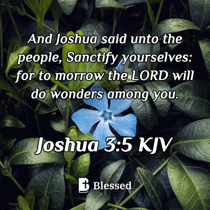 Joshua 3:5