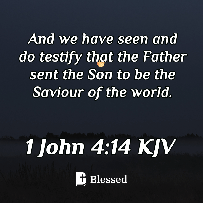 1 John 4:14