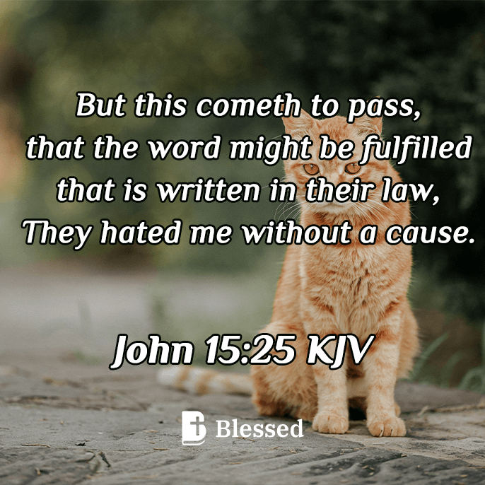 John 15:25