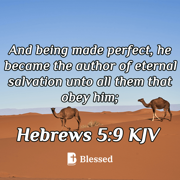 Hebrews 5:9