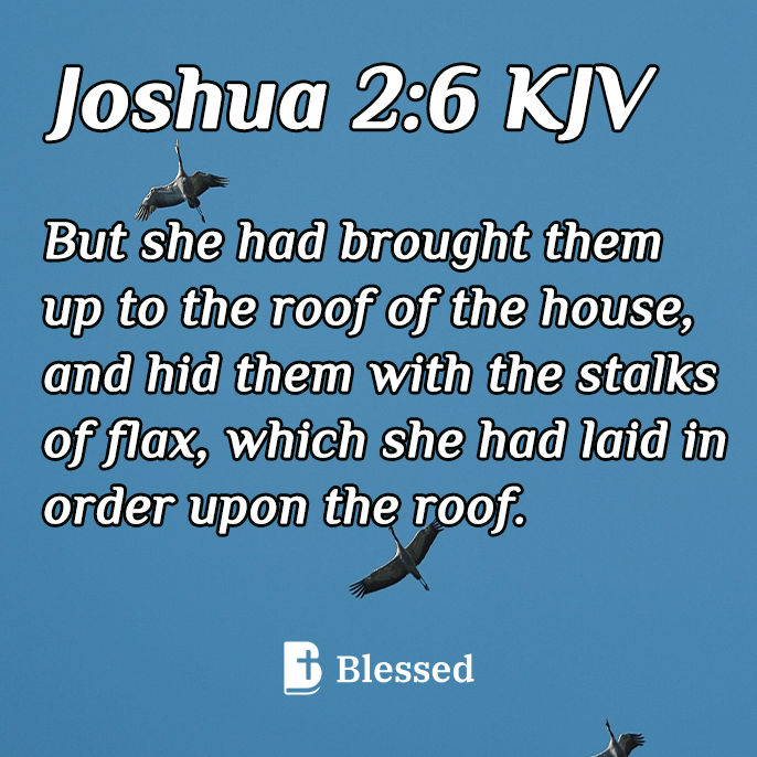 Joshua 2:6
