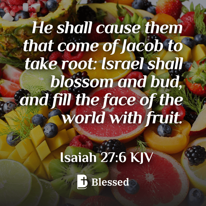 Isaiah 27:6
