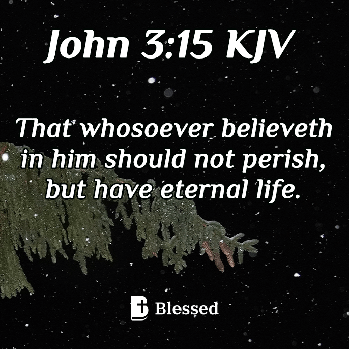 John 3:15