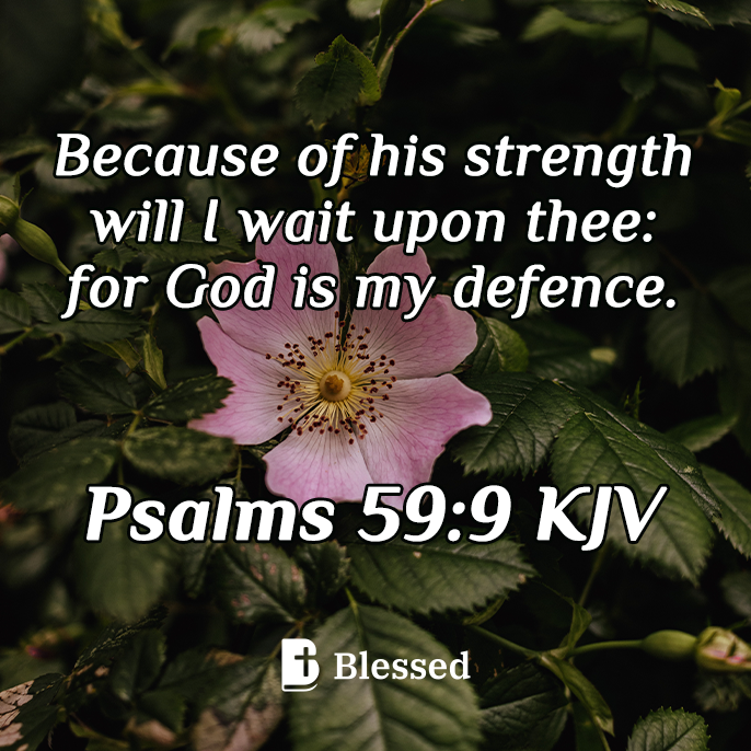 Psalms 59:9
