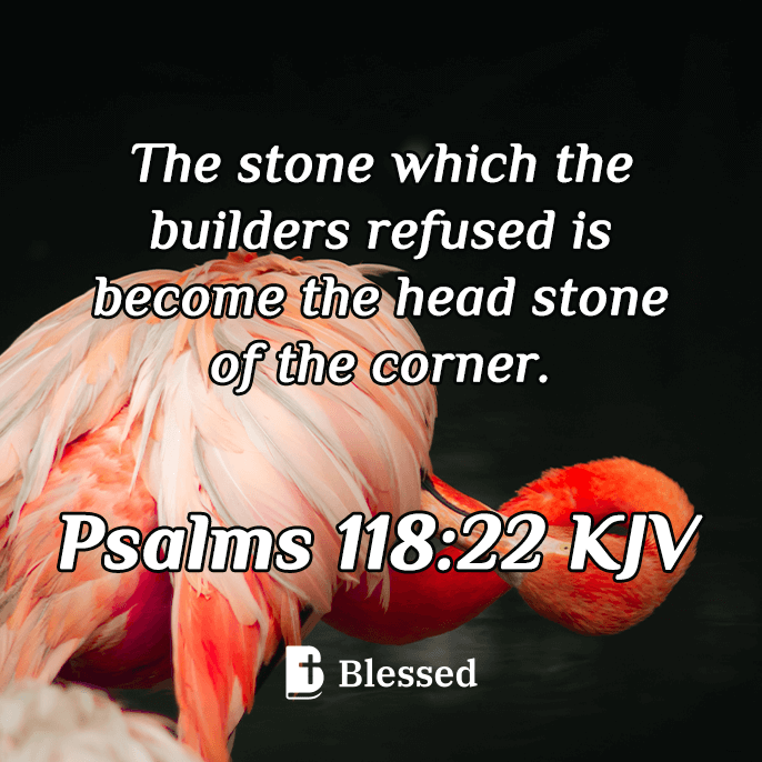 Psalms 118:22
