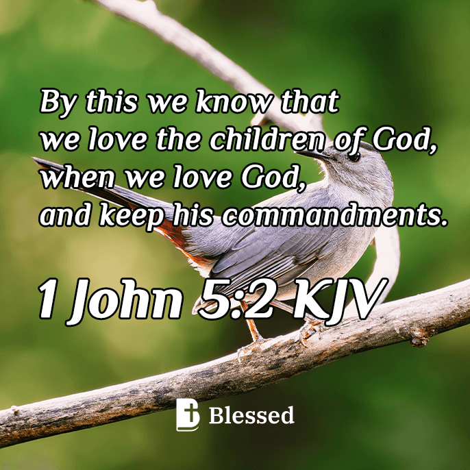 1 John 5:2
