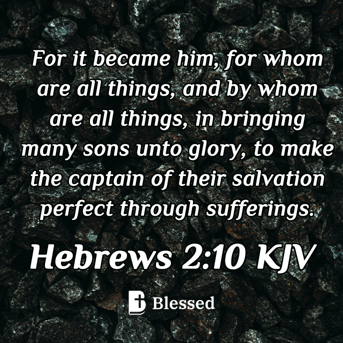 Hebrews 2:10